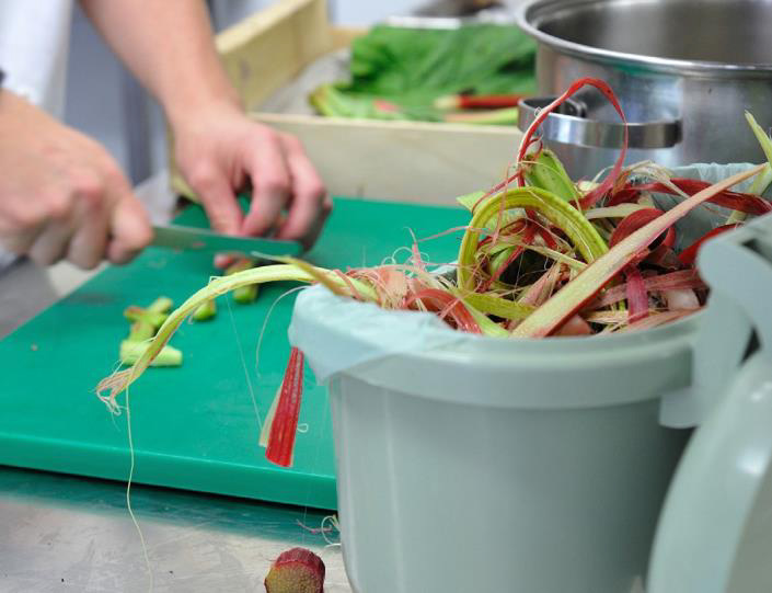 Chopping Rhubarb